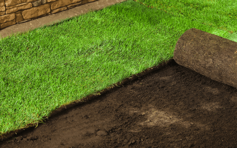 Sod Installation Services in Elkhart, IN