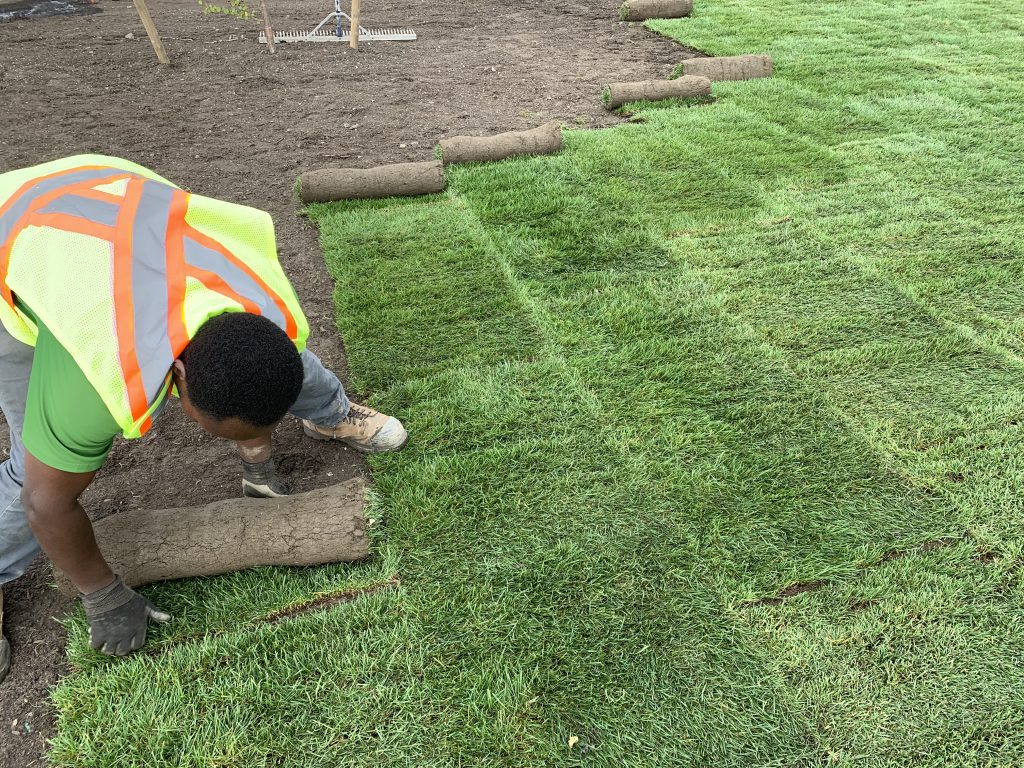 Sod Installation in Mishawaka project 1