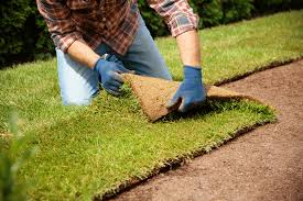 Sod Installation in Mishawaka project 3