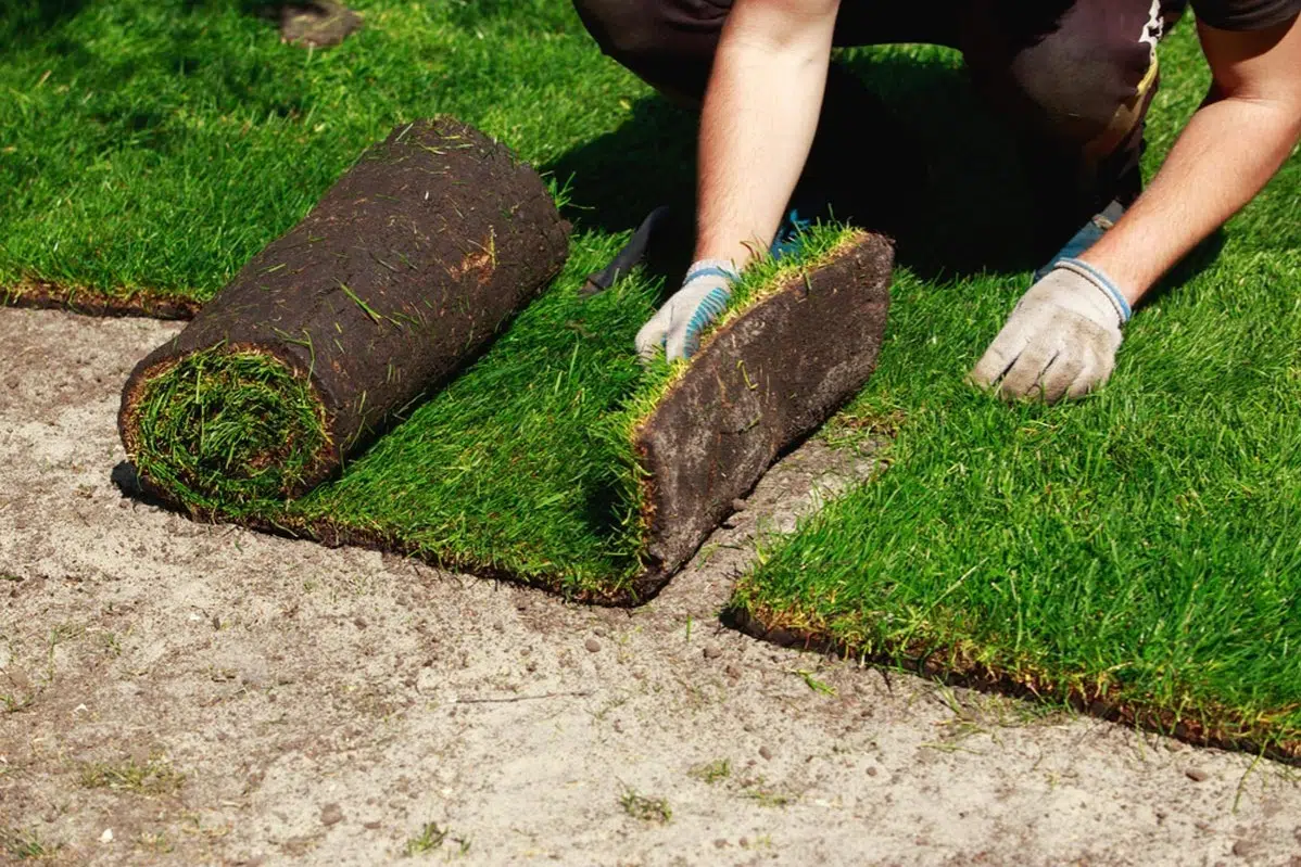 Sod Installation in Mishawaka project 4