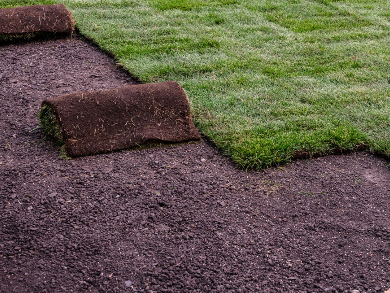 Sod Installation in Mishawaka project 5