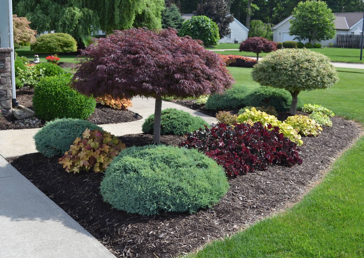 Landscape Design in Granger project 6