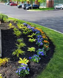 Tree & Shrub Planting in Granger project 6