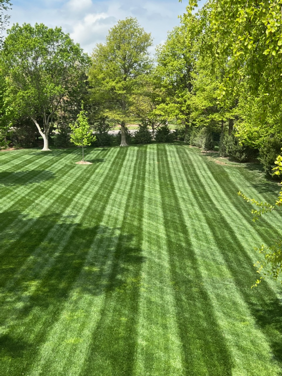 Lawn Mowing in Elkhart