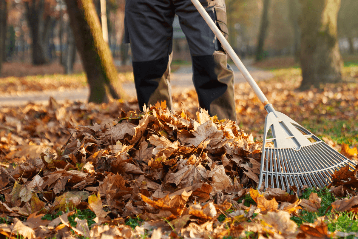 Leaf Removal in Elkhart
