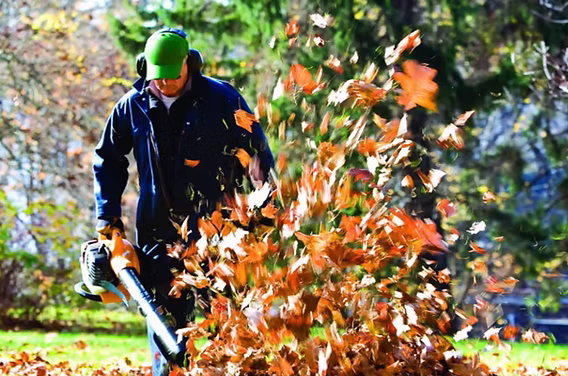 Leaf Removal in Elkhart
